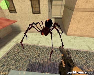 Huge Big Spider