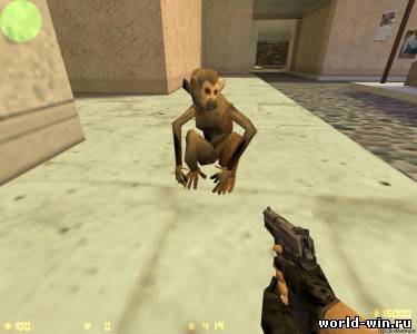Monkey