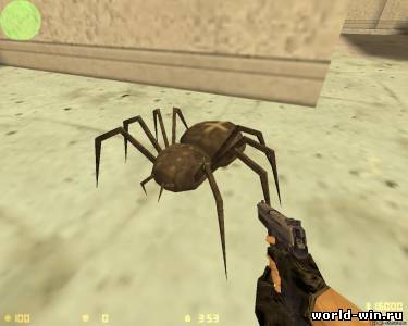 Spider