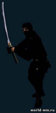 Gign Ninja w Shai'Zuk's sword